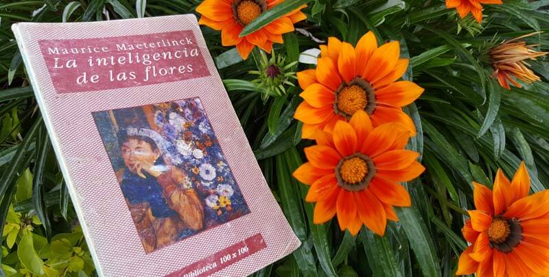 La Inteligencia de las Flores, un libro de 1907 sobre la inteligencia