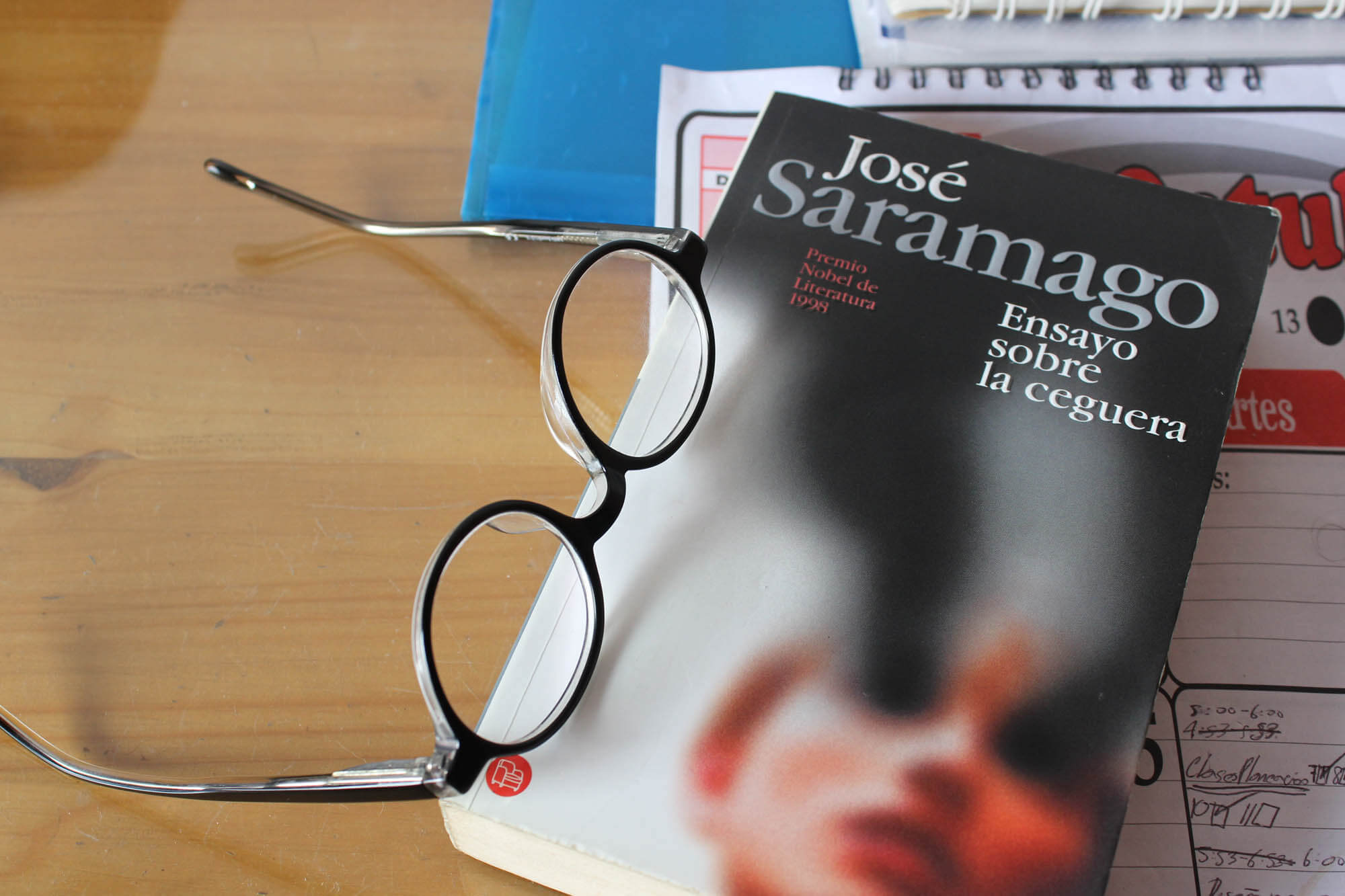Ensayo sobre la ceguera, reseña, resumen y sinopsis Ensayo sobre la ceguera - libro de José Saramago