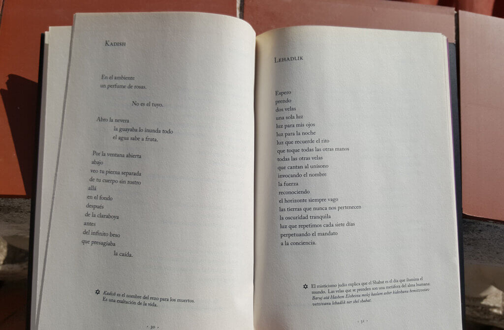 Poemas del libro Shir de Mónica Gontovnik