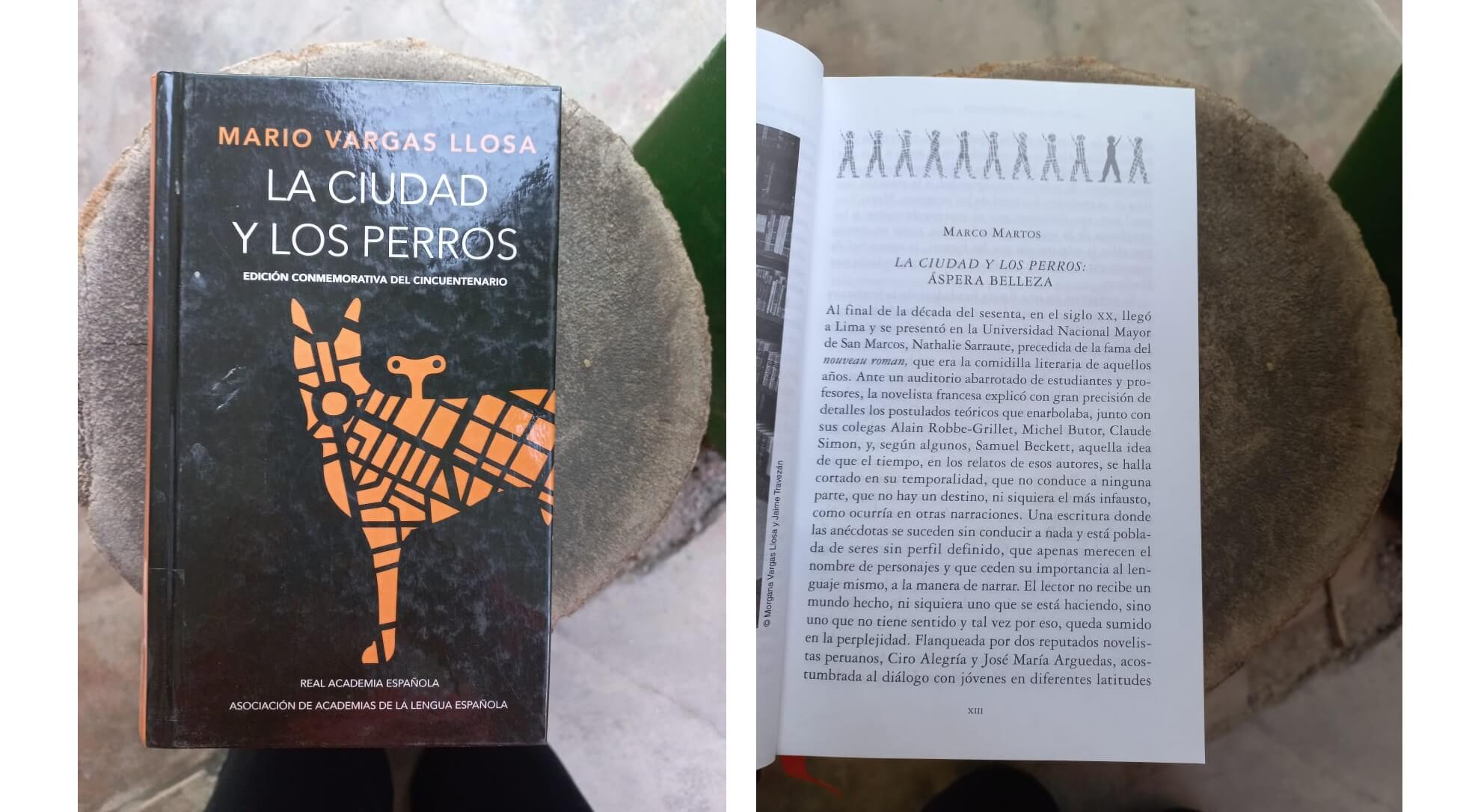 Machismo y crueldad en el colegio militar: una mirada a "La ciudad y